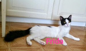 FRIDA 5 mesi