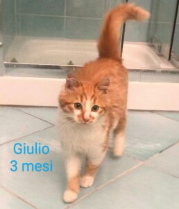 Giulio 3 mesi