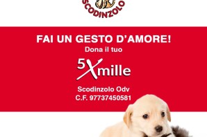 Dona il tuo 5 x mille alla nostra associazione onlus e salverai la vita a tanti  dei nostri amici animali!!