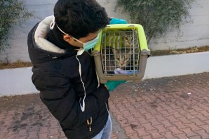 GHIBLY E KEPLERO ARRIVATI NELLA LORO NUOVA CASA!!