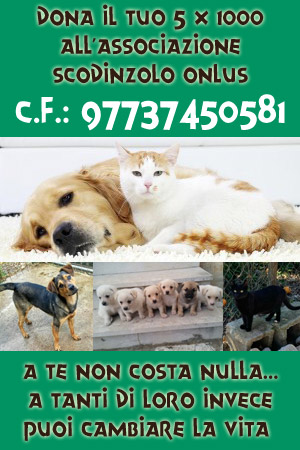 Dona il tuo 5x1000 all'associazione Scodinzolo Onlus